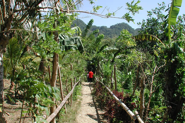 Riverwalk at   Mayfield Falls - Negril, Jamaica W.I. - Saturday, December 8, 2001 - Negril Travel Guide